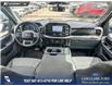 2023 Ford F-150 XLT (Stk: P6937) in Olds - Image 24 of 25