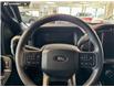 2024 Ford F-150 STX (Stk: RC20164) in Airdrie - Image 14 of 25