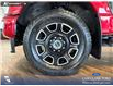 2023 Ford F-350 Platinum (Stk: P15113) in Airdrie - Image 6 of 25