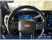 2023 Ford F-350 Platinum (Stk: P15113) in Airdrie - Image 14 of 25