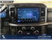 2023 Ford F-350 Platinum (Stk: P15113) in Airdrie - Image 19 of 25