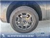 2024 Ford Maverick XLT (Stk: 24T5486) in Red Deer - Image 6 of 25