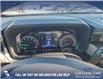 2024 Ford Maverick XLT (Stk: 24T5486) in Red Deer - Image 15 of 25