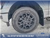 2025 Ford F-150 XLT (Stk: 25T7352) in Red Deer - Image 6 of 24