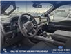 2025 Ford F-150 XLT (Stk: 25T7352) in Red Deer - Image 12 of 24