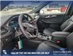 2025 Ford Escape ST-Line Elite (Stk: 25S7673) in Red Deer - Image 13 of 25