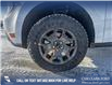 2025 Ford Maverick Tremor (Stk: 25T4974) in Olds - Image 6 of 25