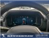 2025 Ford F-150 XLT (Stk: 25T8244) in Red Deer - Image 14 of 24