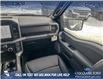 2025 Ford F-150 XLT (Stk: 25T8244) in Red Deer - Image 24 of 24