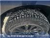2025 Ford F-150 XLT (Stk: 25T7583) in Red Deer - Image 7 of 24