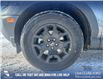 2025 Ford Bronco Sport Big Bend (Stk: 25S2209) in Olds - Image 6 of 24