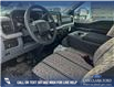 2024 Ford F-350 Chassis XLT (Stk: 24AF8774) in Airdrie - Image 13 of 24