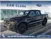 2025 Ford F-150 XLT (Stk: 25T1186) in Red Deer - Image 1 of 24