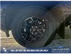 2025 Ford F-150 XLT (Stk: 25T1186) in Red Deer - Image 6 of 24
