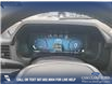 2025 Ford F-150 XLT (Stk: 25T7474) in Red Deer - Image 14 of 24