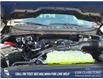 2025 Ford F-150 XLT (Stk: 25T8241) in Red Deer - Image 11 of 24