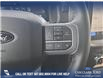 2025 Ford F-150 XLT (Stk: 25T8241) in Red Deer - Image 15 of 24