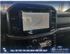 2025 Ford F-150 XLT (Stk: 25T8241) in Red Deer - Image 18 of 24
