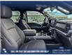 2025 Ford F-150 XLT (Stk: 25AT2646) in Airdrie - Image 22 of 25
