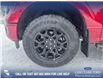 2025 Ford F-150 XLT (Stk: 25T2366) in Olds - Image 6 of 25