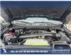 2025 Ford F-150 XLT (Stk: 25T1042) in Olds - Image 10 of 25