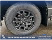 2025 Ford F-150 XLT (Stk: 25T8068) in Red Deer - Image 6 of 24