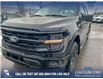 2025 Ford F-150 XLT (Stk: 25T8068) in Red Deer - Image 8 of 24