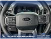 2025 Ford F-150 XLT (Stk: 25AT1592) in Airdrie - Image 14 of 25