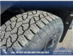 2025 Ford F-150 XLT (Stk: 25AT4629) in Airdrie - Image 7 of 25