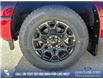 2025 Ford F-150 XLT (Stk: 25AT7959) in Airdrie - Image 6 of 25