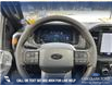 2025 Ford F-150 Tremor (Stk: 25CT4511) in Canmore - Image 16 of 26