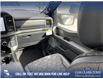 2025 Ford F-150 Tremor (Stk: 25CT4511) in Canmore - Image 22 of 26