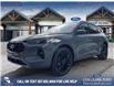 2025 Ford Escape ST-Line Elite (Stk: 25CS5021) in Canmore - Image 1 of 26