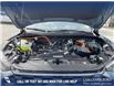 2025 Ford Escape ST-Line Elite (Stk: 25CS5021) in Canmore - Image 11 of 26