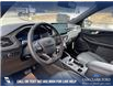 2025 Ford Escape ST-Line Elite (Stk: 25CS5021) in Canmore - Image 14 of 26