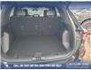 2025 Ford Escape ST-Line Elite (Stk: 25S6406) in Red Deer - Image 12 of 25