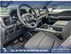 2025 Ford F-150 XLT (Stk: 25AT6814) in Airdrie - Image 13 of 25