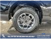 2025 Ford Maverick XLT (Stk: 25CT2943) in Canmore - Image 7 of 24