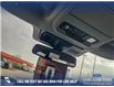 2025 Ford F-150 Lightning XLT (Stk: 25T6454) in Red Deer - Image 20 of 24