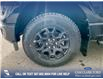 2025 Ford F-150 XLT (Stk: 25T1342) in Red Deer - Image 6 of 24
