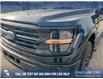 2025 Ford F-150 XLT (Stk: 25T1342) in Red Deer - Image 8 of 24