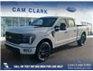 2025 Ford F-150 Platinum (Stk: 25T4873) in Red Deer - Image 1 of 24