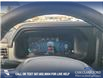 2025 Ford F-150 Platinum (Stk: 25T4873) in Red Deer - Image 14 of 24