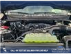 2025 Ford F-150 XLT (Stk: 25T1440) in Red Deer - Image 10 of 24