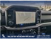 2025 Ford F-150 XLT (Stk: 25T1440) in Red Deer - Image 18 of 24