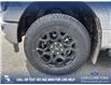2025 Ford F-150 XLT (Stk: 25AT0238) in Airdrie - Image 6 of 25