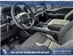 2025 Ford F-150 XLT (Stk: 25AT0238) in Airdrie - Image 13 of 25