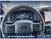 2025 Ford F-150 XLT (Stk: 25T2047) in Red Deer - Image 13 of 24