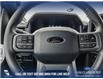 2025 Ford F-150 XLT (Stk: 25AT3046) in Airdrie - Image 14 of 25