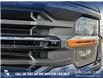 2025 Ford F-150 XLT (Stk: 25AT4384) in Airdrie - Image 8 of 25